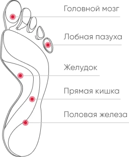 slide5