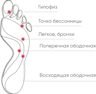 slide7