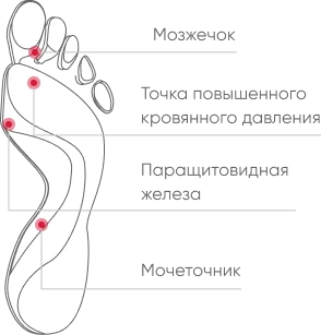 slide8